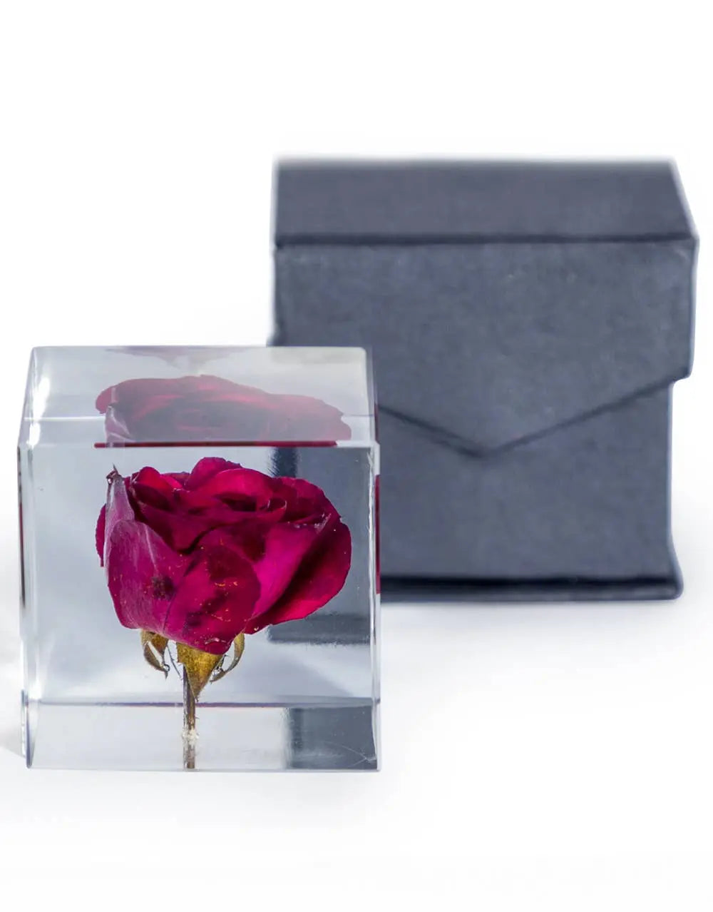 Square Acrylic Glass Real Rose Paperweight with Gift Box The Style Closet