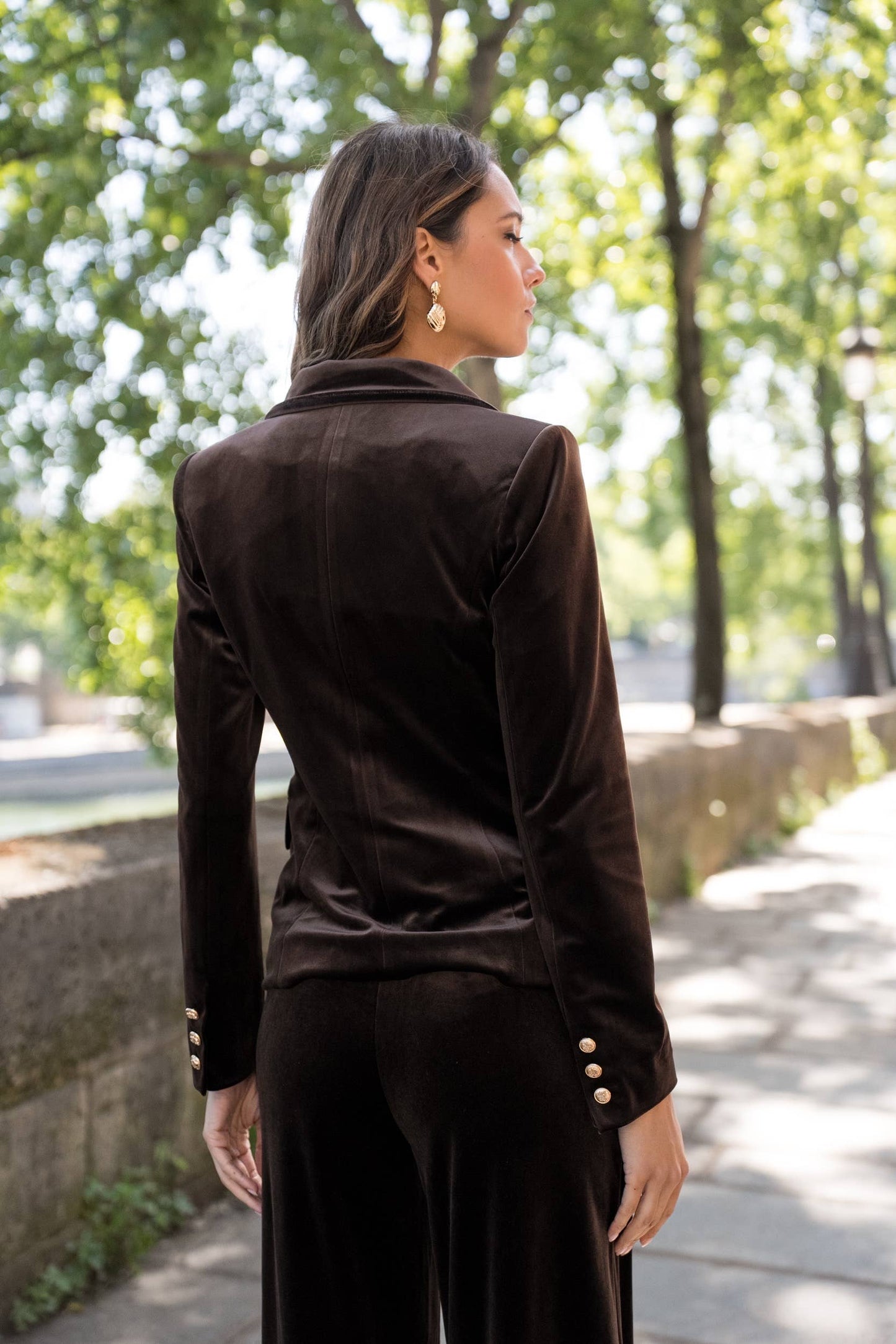 Double-breasted velvet blazer with gold buttons - Chocolate Brown