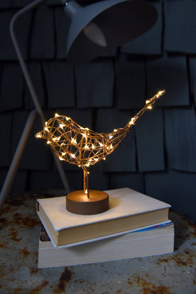 LED Table Robin